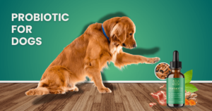 Pawbiotix Reviews